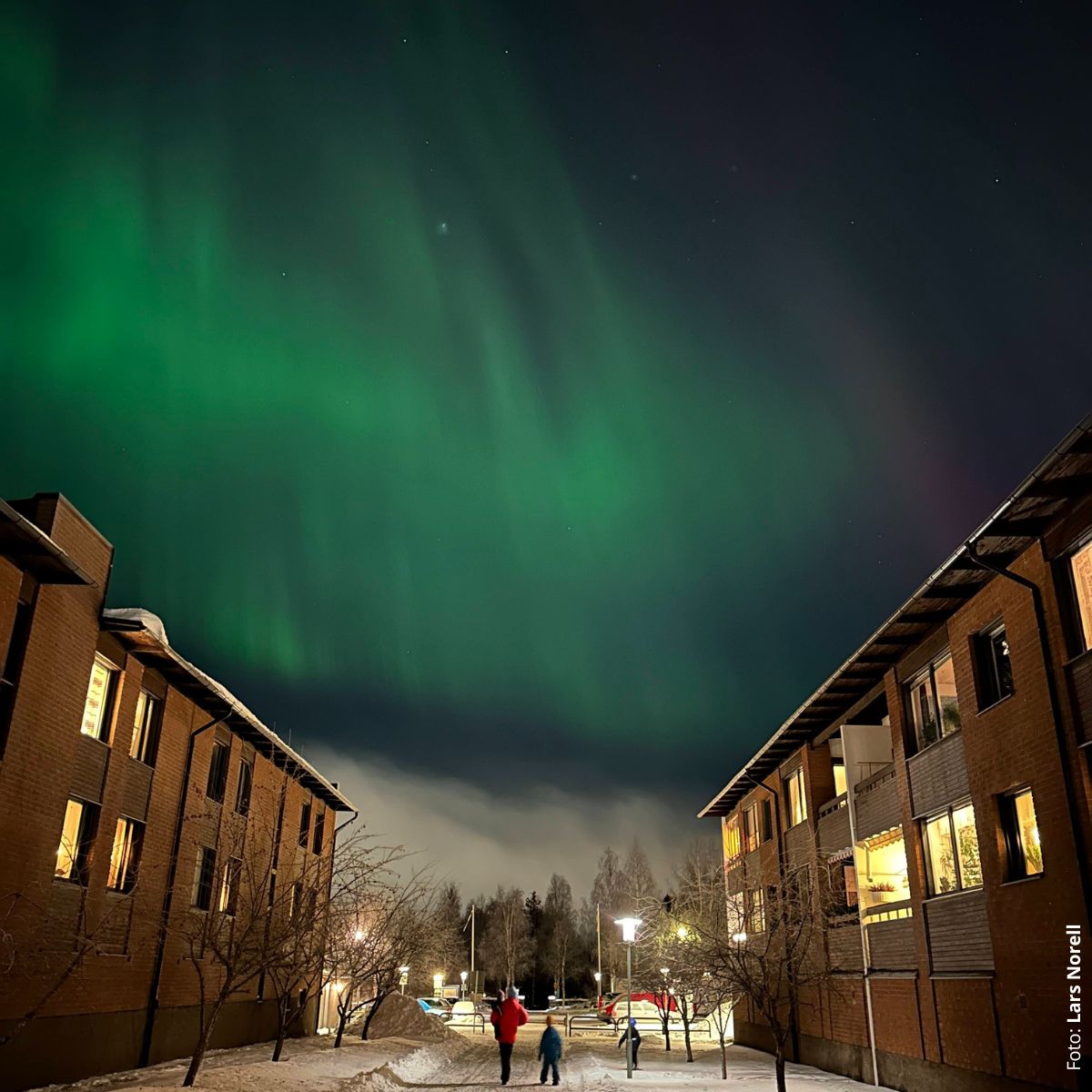 Norrsken över Taptogränd, januari 2025. Foto: Lars Norell