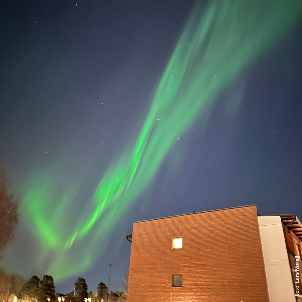 Norrsken över Taptogränd, januari 2025. Foto: Lars Norell